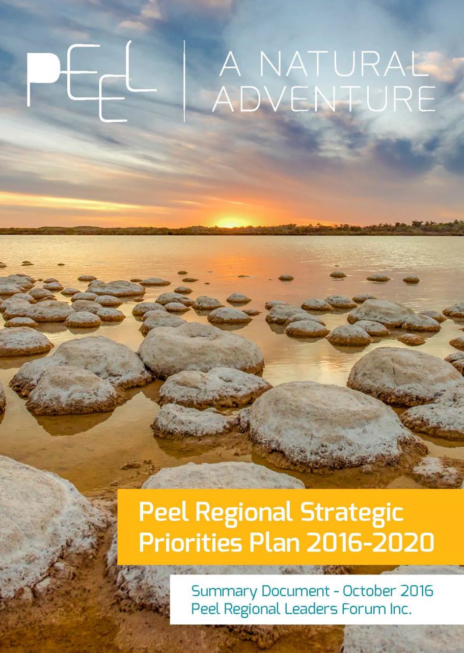 Peel Regional Strategic Priorities Plan 2016 - 2020