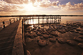 Lake Clifton Thrombolites