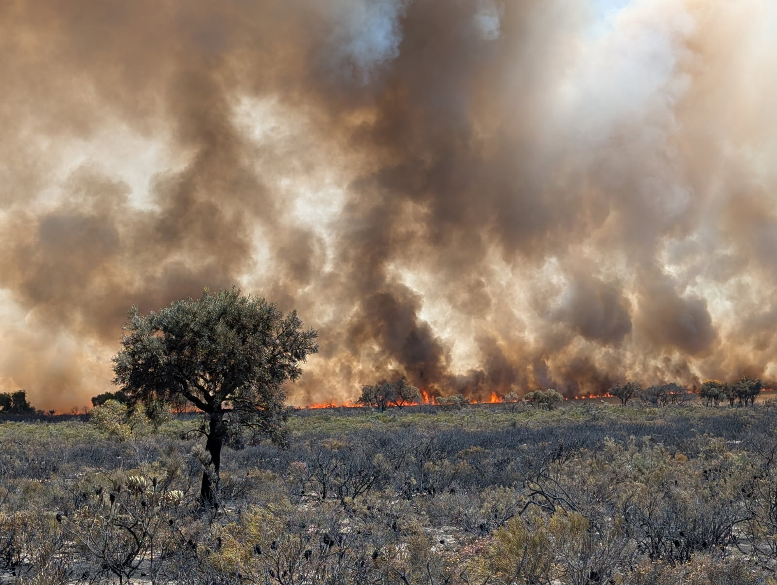 Bushfire Management Image