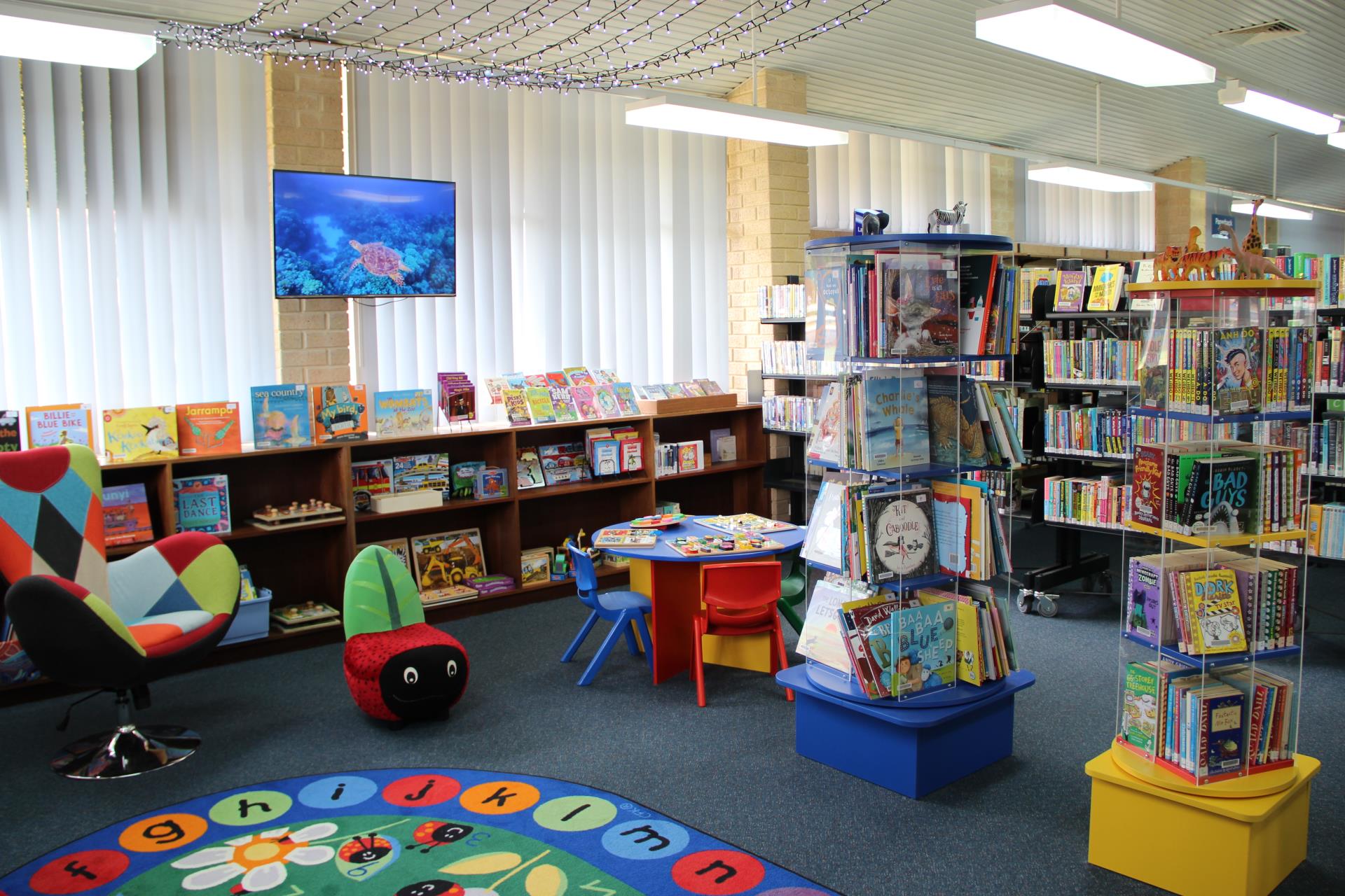 About the Library Image