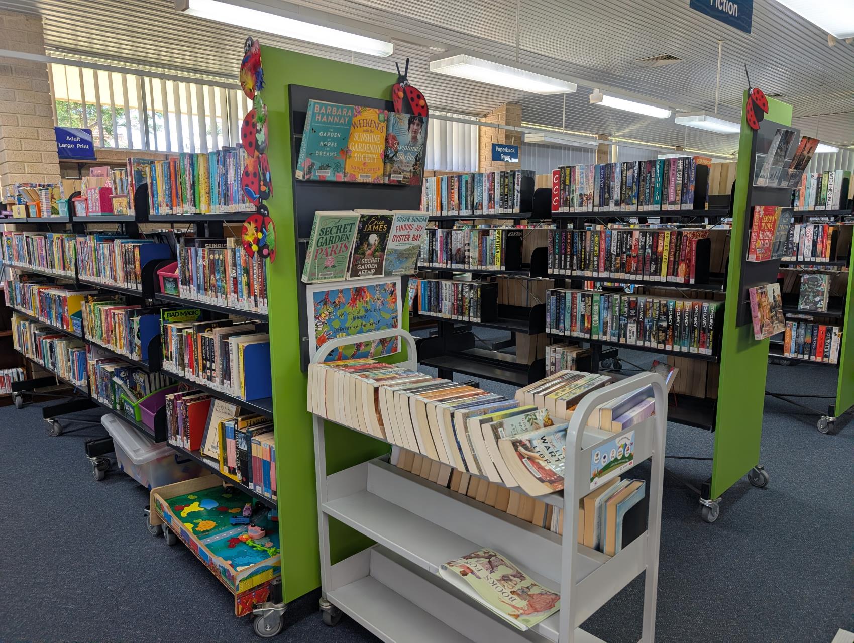 Library Image