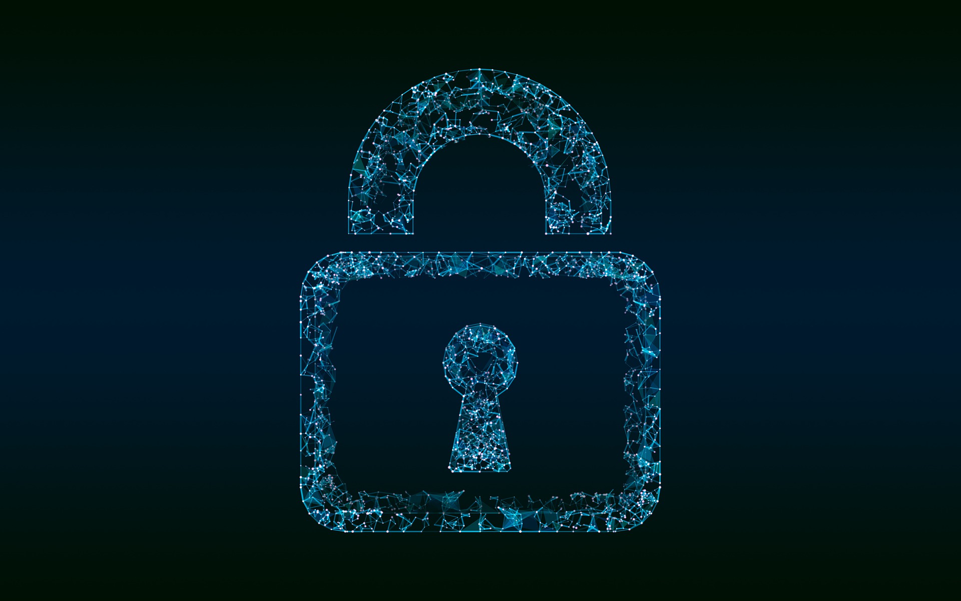 Privacy Image