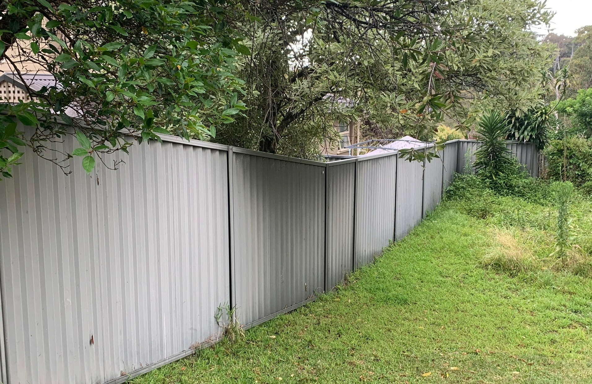 Dividing Fences Image