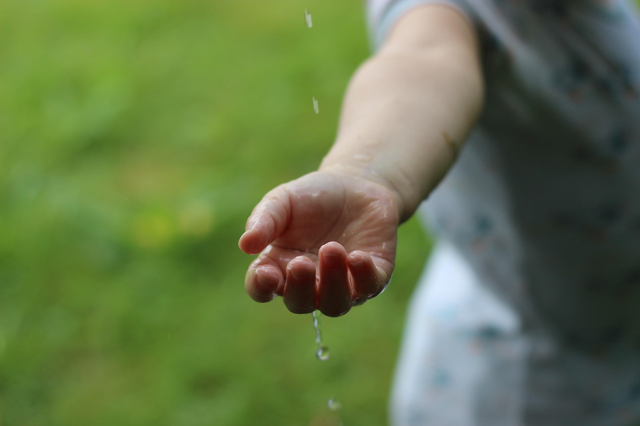 Sustainability Image