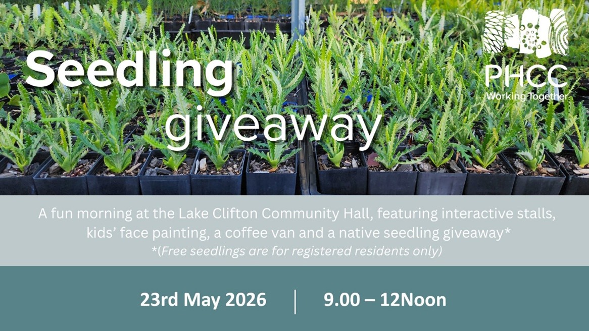 Lake Clifton Herron Seedling Giveaway