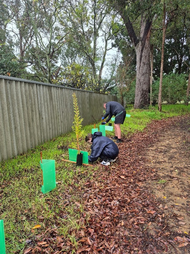 Revegetation Planting Project at Drakesbrook Cemetery