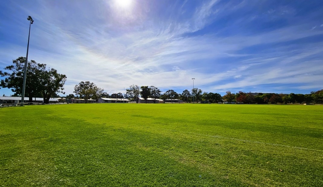 Annual Oval Renovations – Town & Cricket Ovals